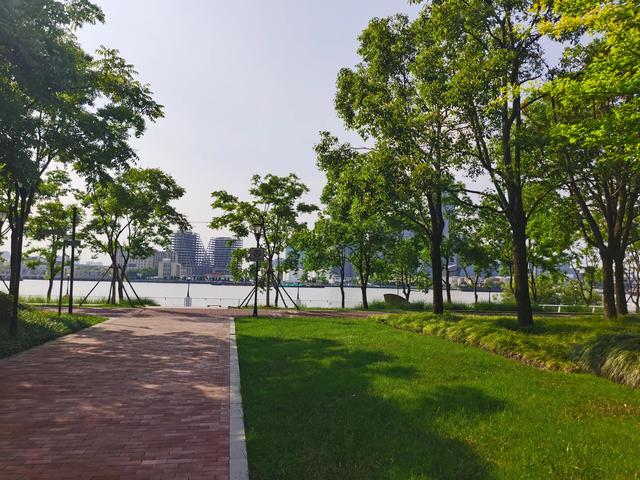 浦东前滩休闲公园实拍