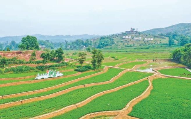 重庆梁平:初夏山村碧 田园风光媚