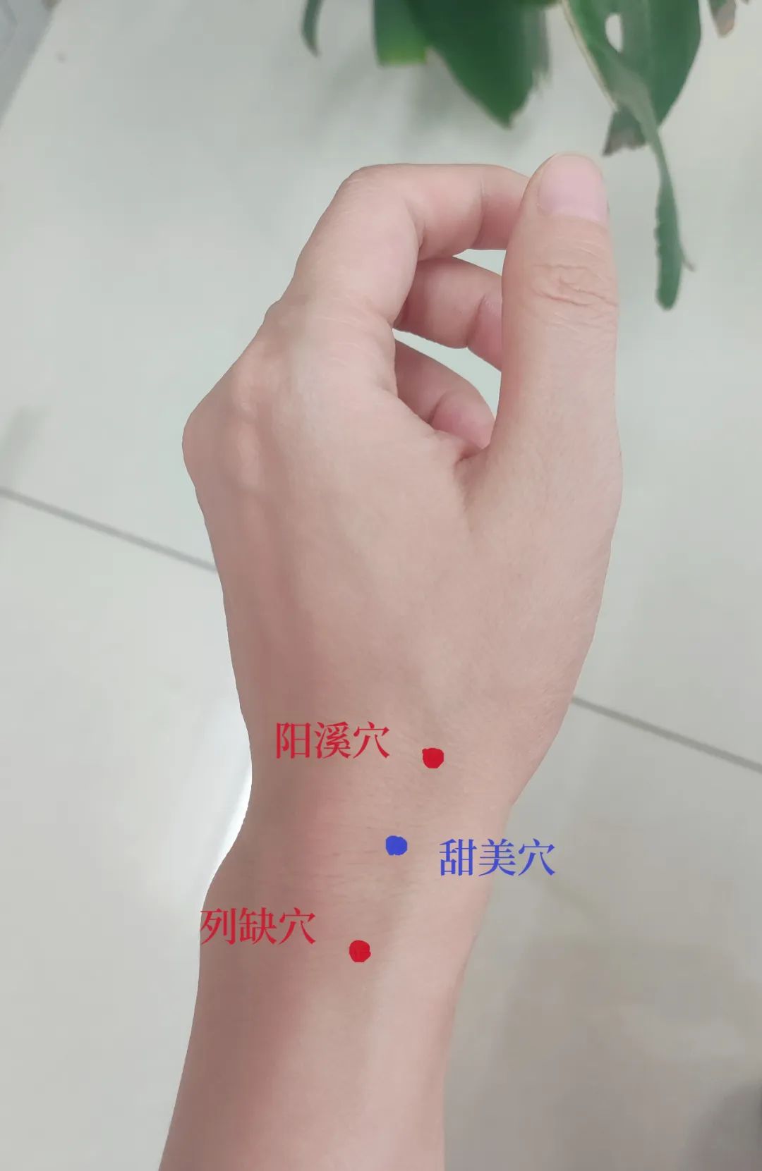 记得收藏
