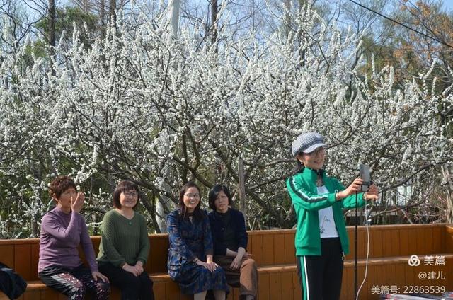 桐乡市梧桐街道桃园村行,摄槜李花