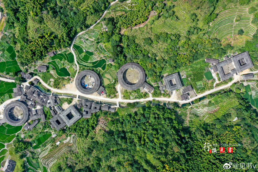 植树节这片绿值得每个福建人自豪