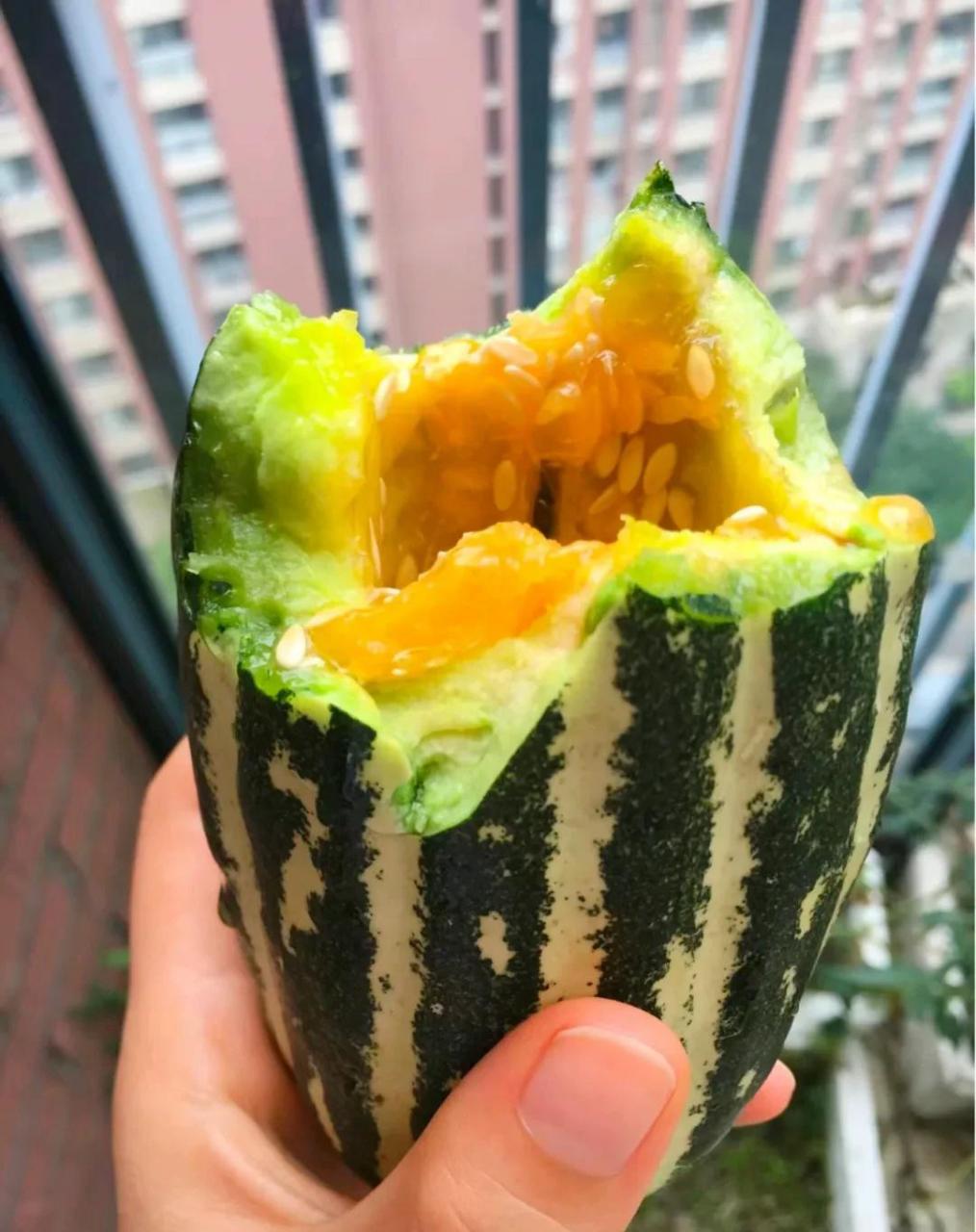 在路上买了几个甜瓜, 花纹的这种简直太甜了, 我吃完就开始嗓子痒.