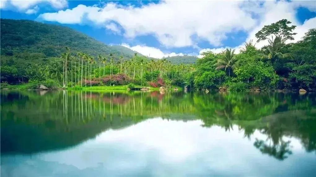 免票,半价!海南这些景区"三八妇女节"优惠来啦→