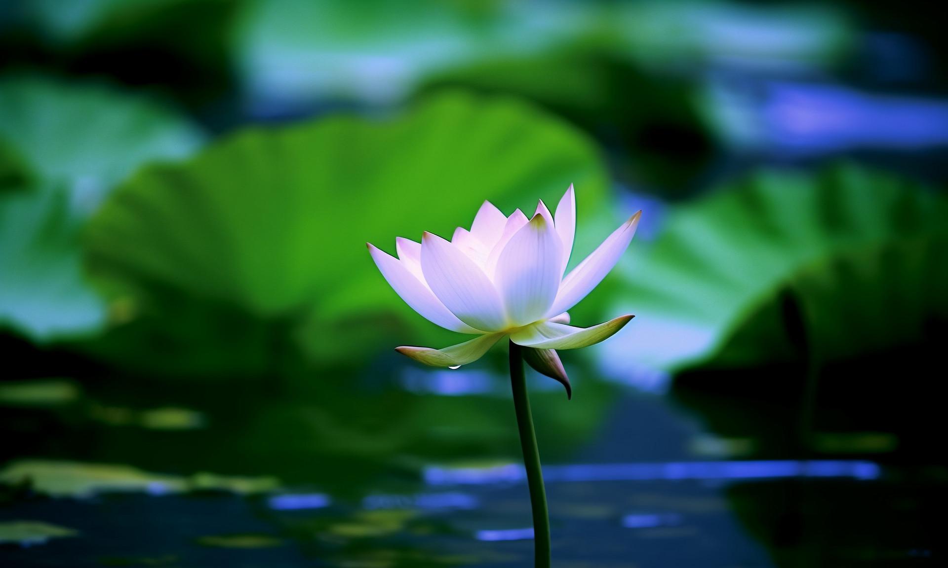 爱一个人,沉得住气,你就赢了