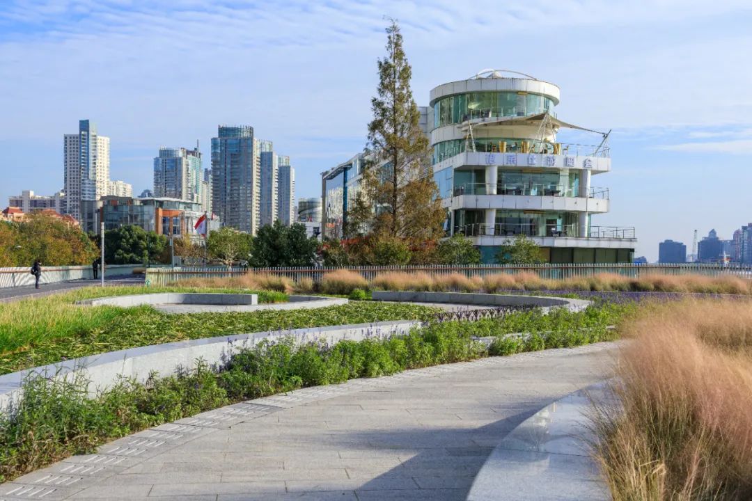 老白渡滨江绿地