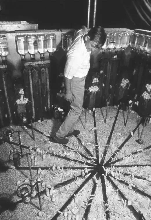 「双语」从"老鼠乌托邦实验"看人口61年来首次负增长