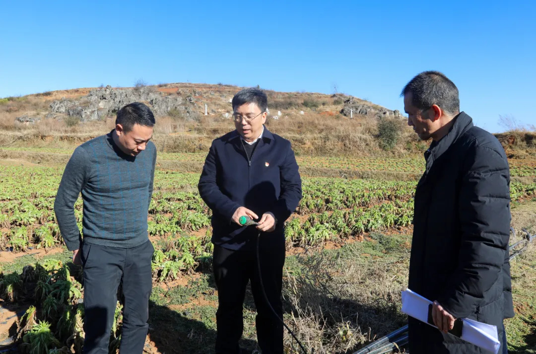 胡敬斌到草海小海等鄉鎮調研春耕備耕和蔬菜產業發展工作