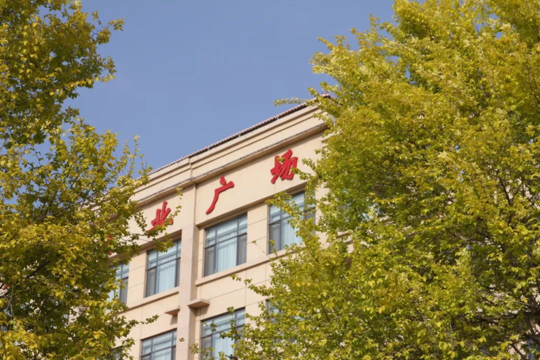 邯郸冀南新区丨欣赏这些小众美景正当时