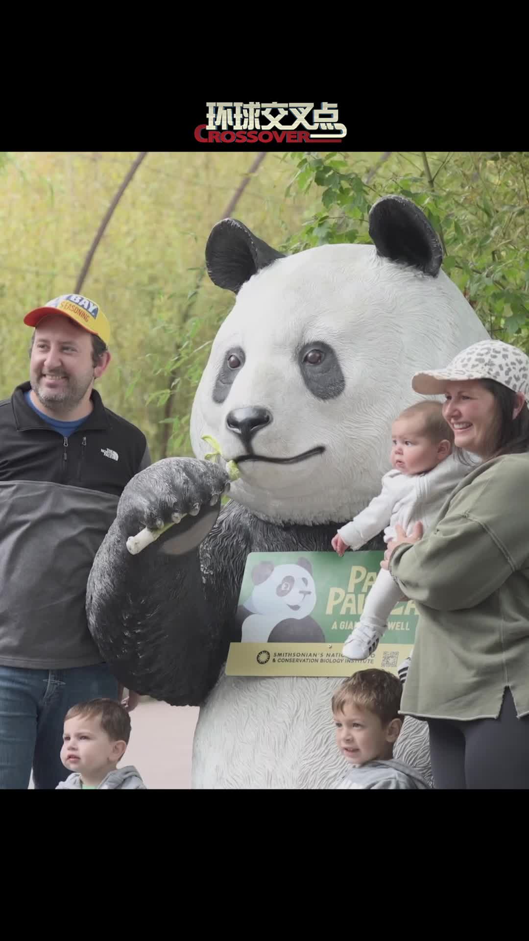 旅美大熊猫即将回国图片