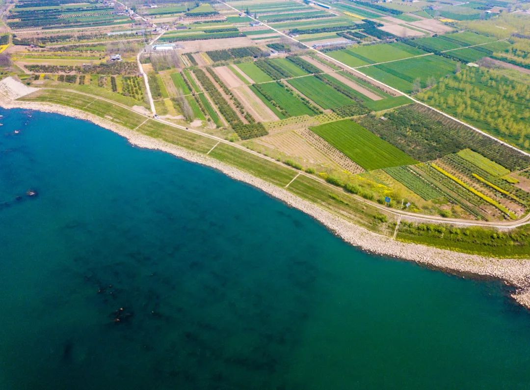 这个清明,来枝江市百里洲追寻红色印记