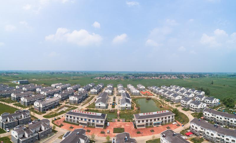 丰县师寨镇全力推进美丽乡村建设