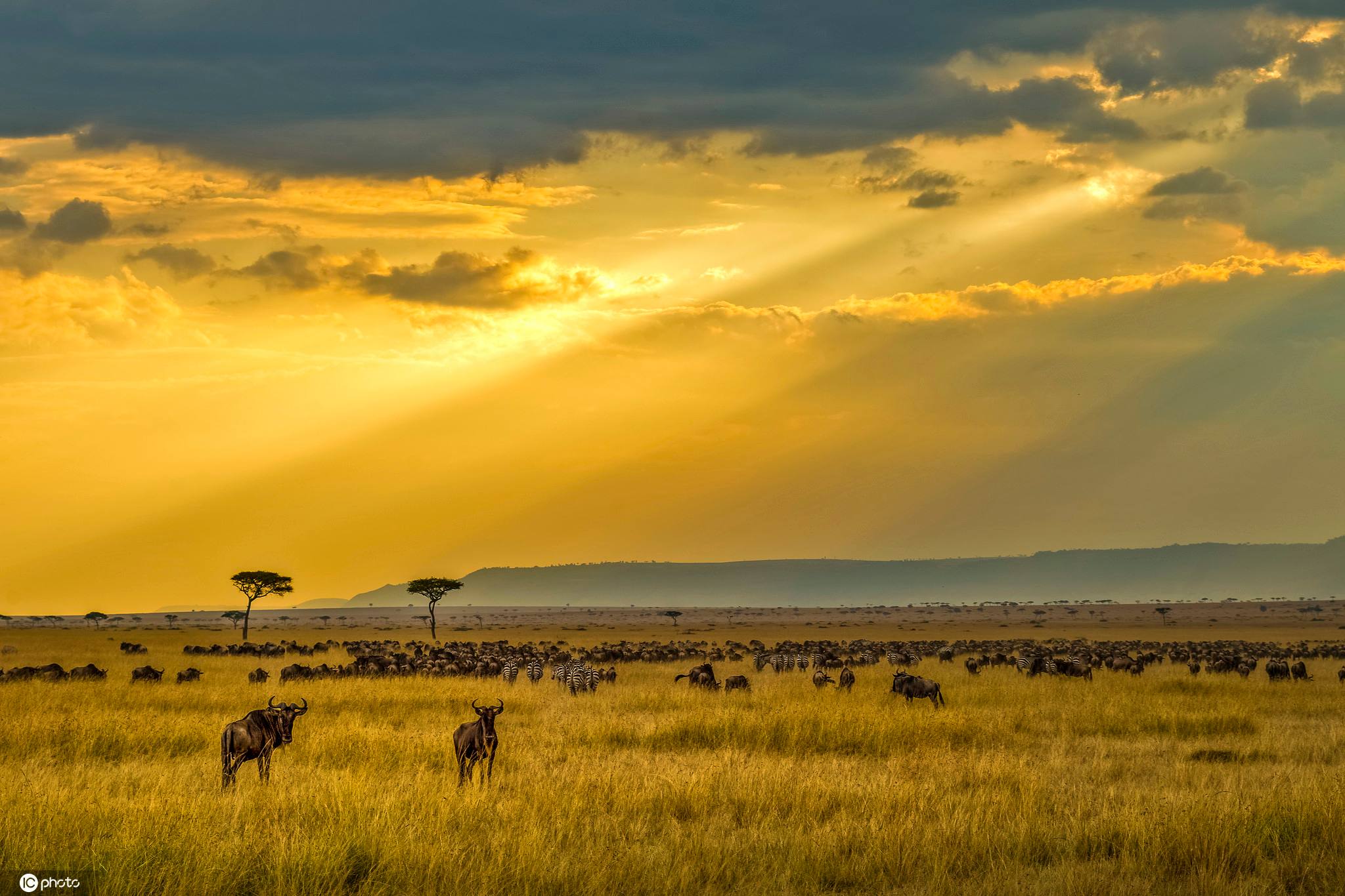 非洲肯尼亚公司注册条件及流程