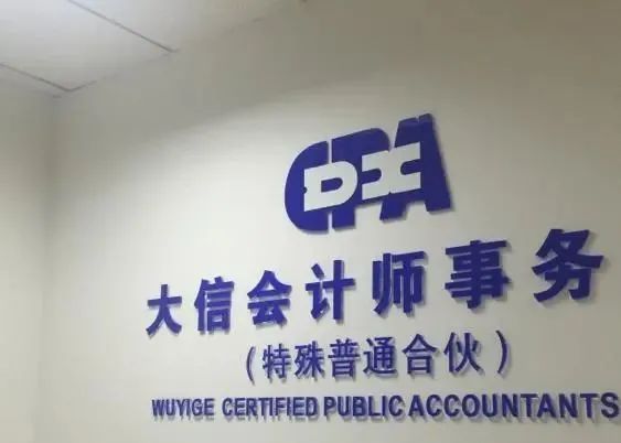 大信会计师事务所logo图片