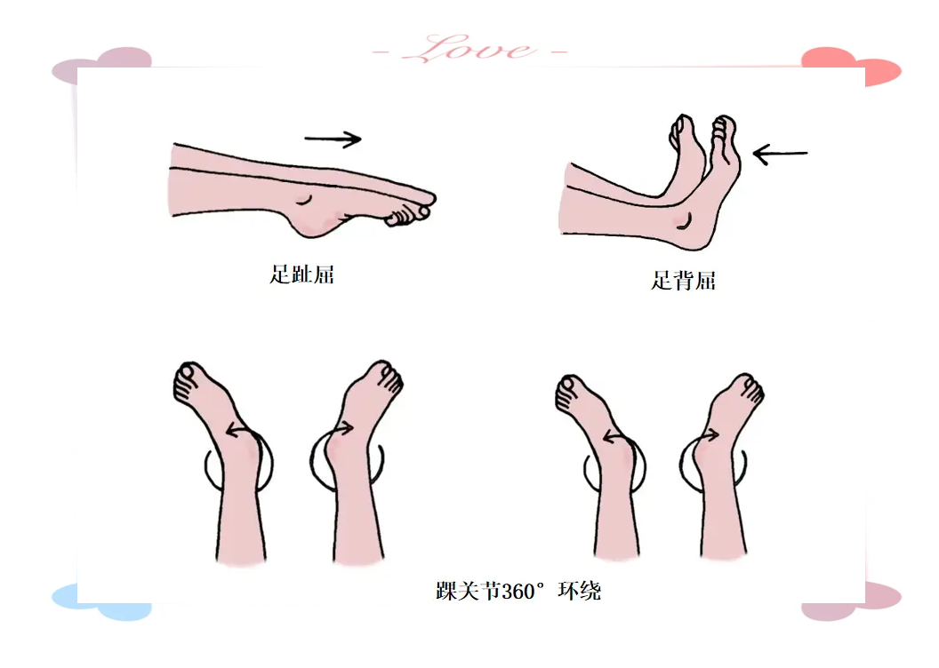 接着,再缓慢放下脚尖至跖屈位置,同样维持5至10秒钟.完