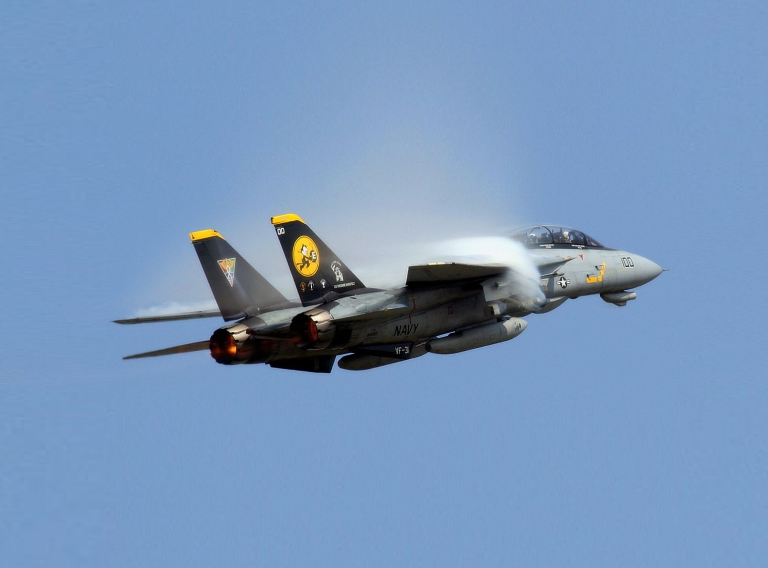 壮志凌云 雄霸天下 f-14雄猫 100图