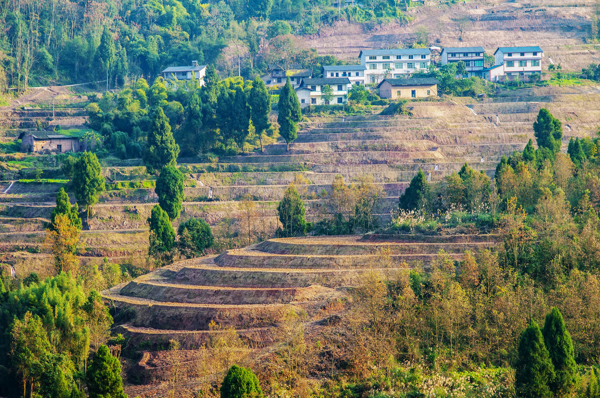 重庆綦江:冬日乡村别样美