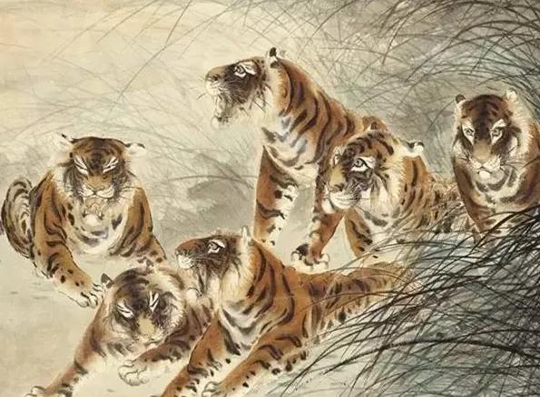 群虎远徙感善政,今又伤人乃过山|历史小故事63