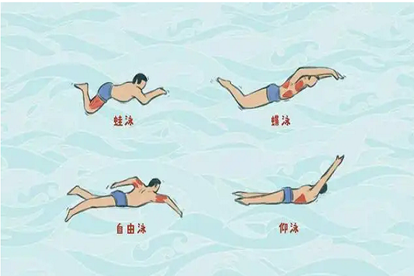 游泳的姿势