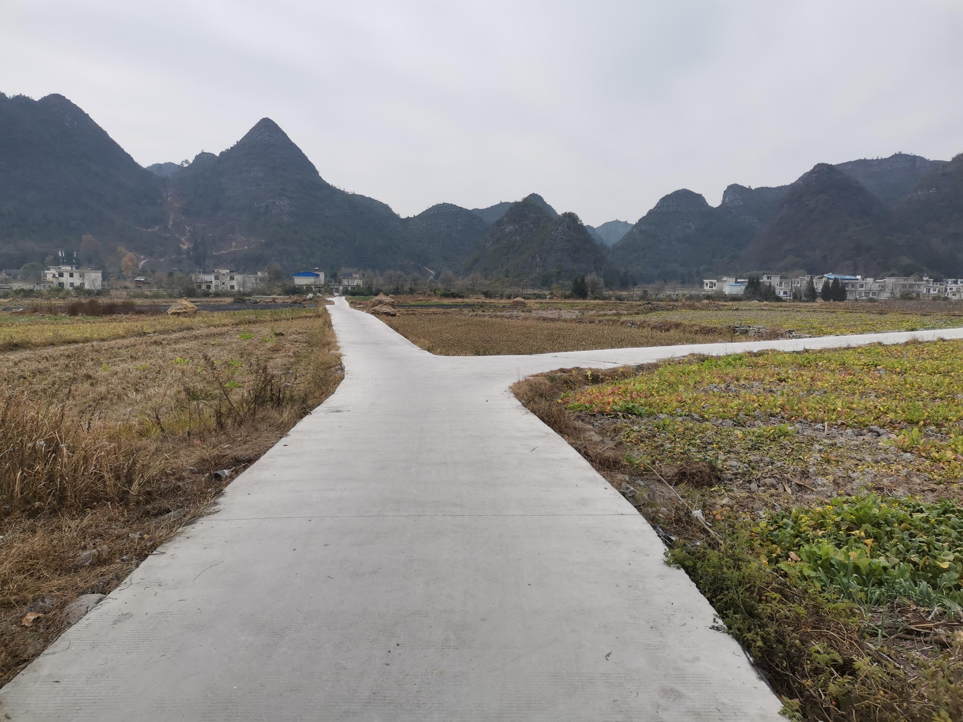 独山县上司镇甲里村"三带"助推村级产业提质增效