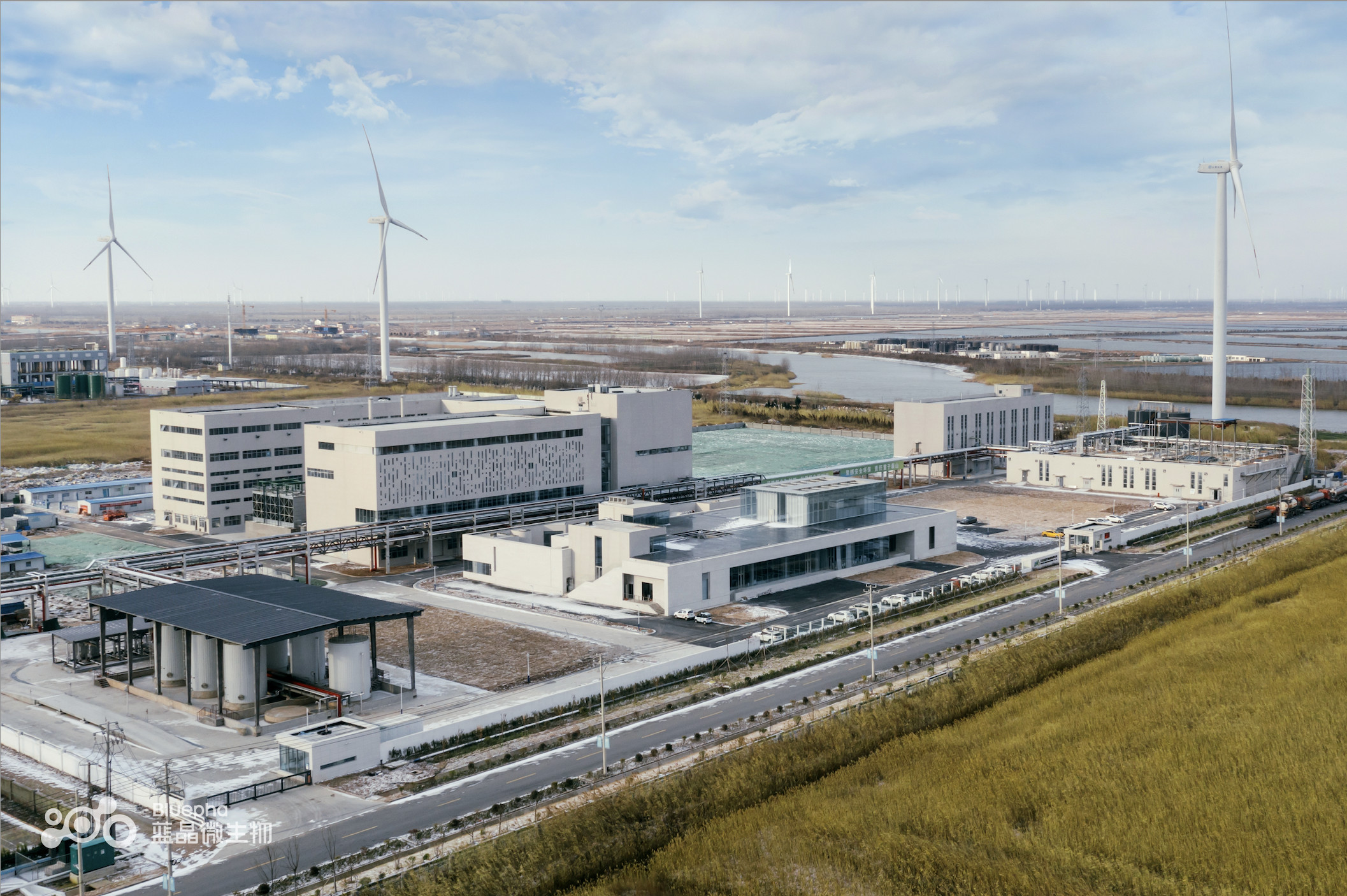 对话蓝晶微生物:科学家建工厂,要做game changer就别无选择