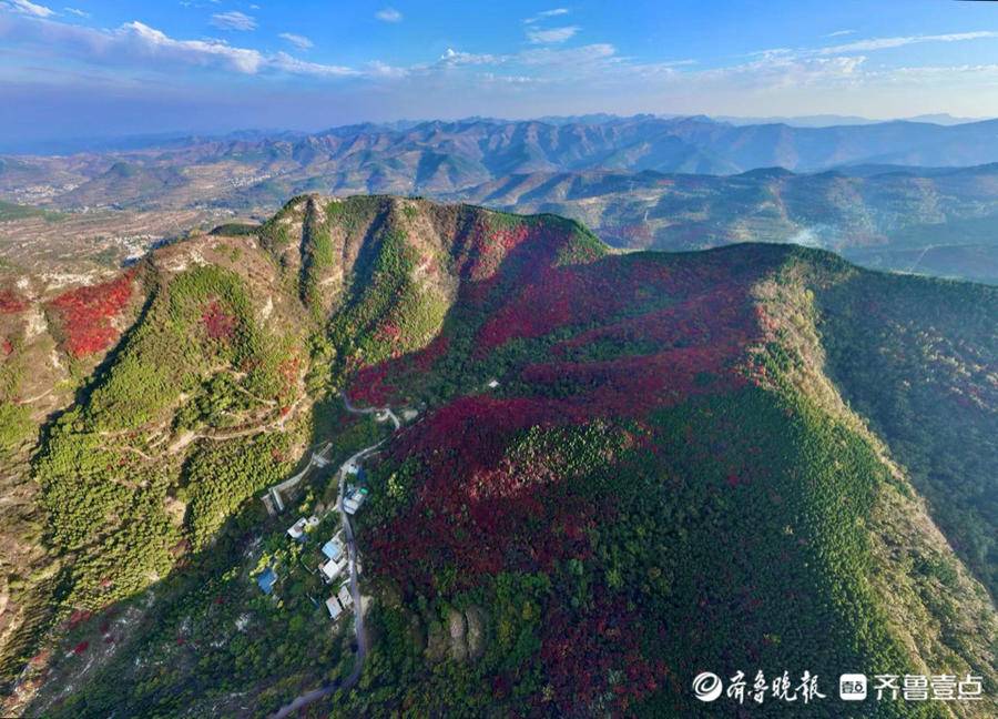 航拍济南彩石镇捎近村的红叶,漫山遍野格外耀眼