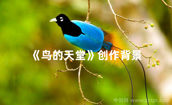 暑寒榮枯的意思是什么?暑寒榮枯的意思以及近義詞和反義詞 Bird paradise