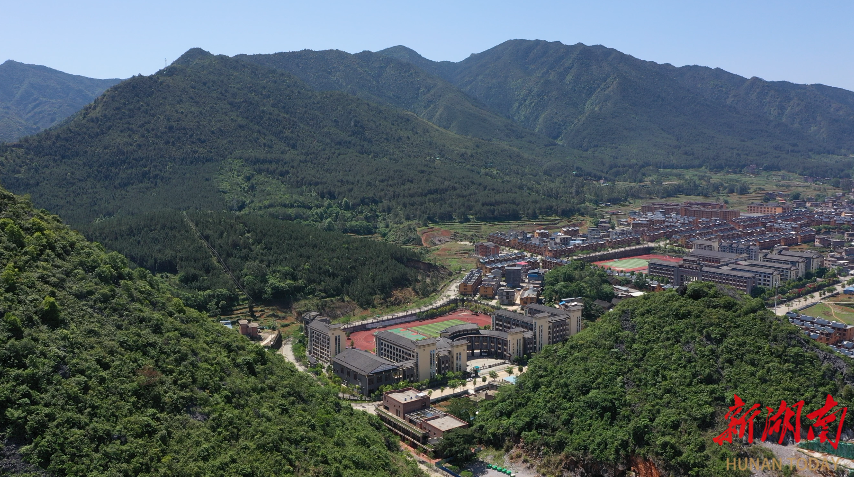 罗良:在基层淬炼中砥砺前行 以青春力量奉献家乡