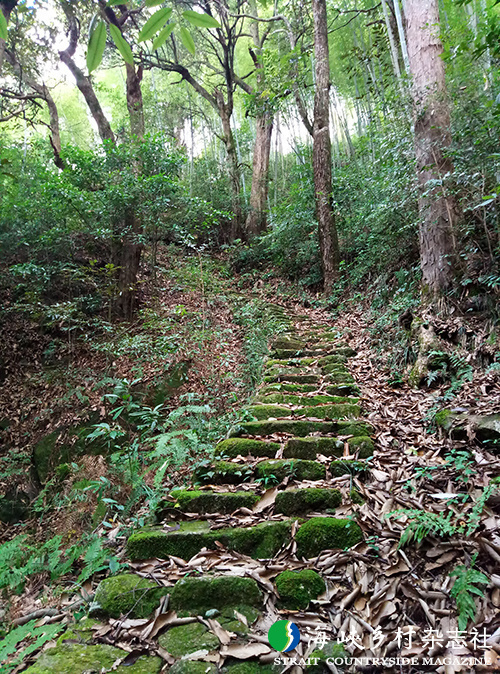 「清新福建」南平虎山村:林中飞瀑 古迹仙境