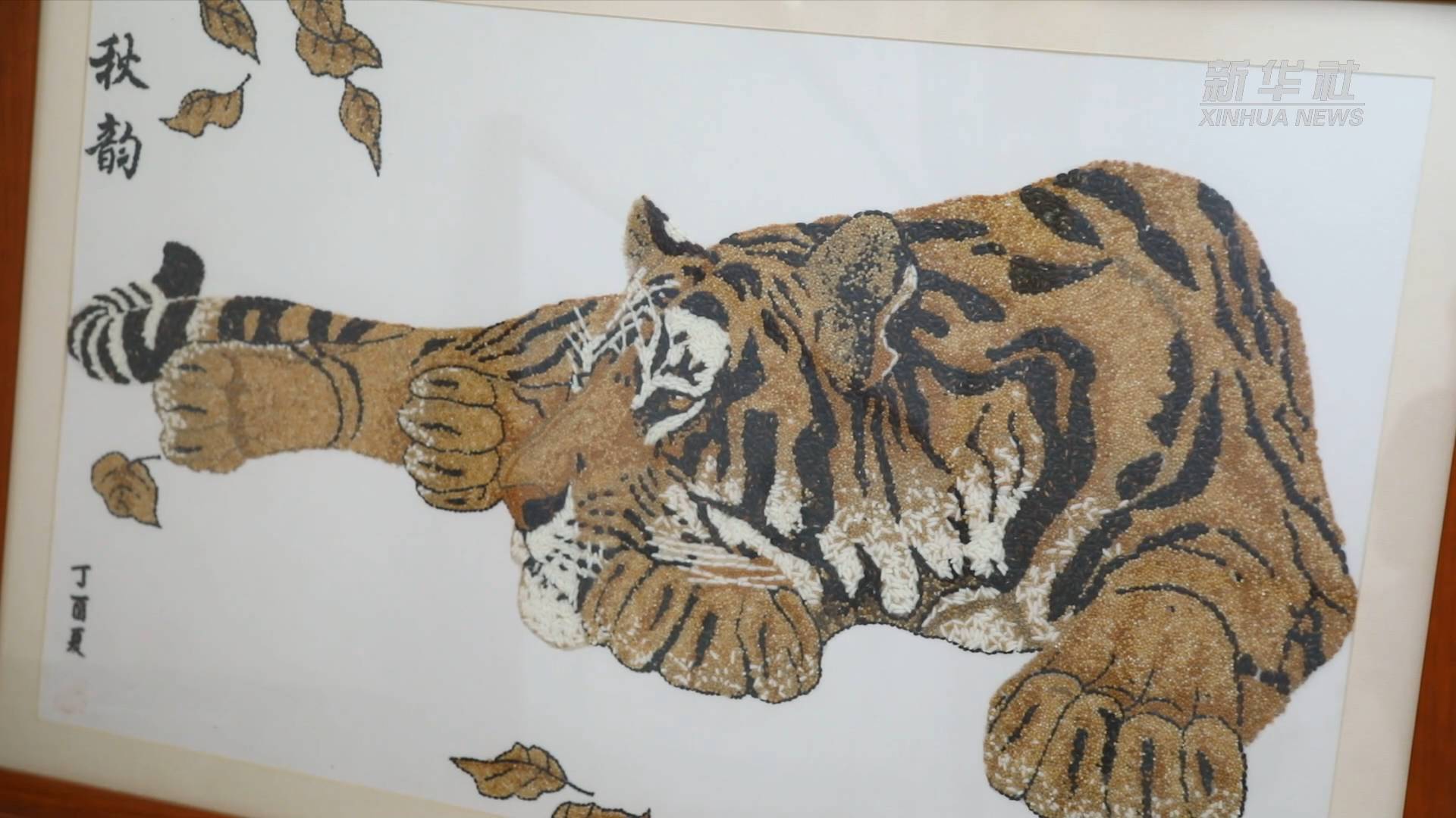 五谷画老虎的图案图片