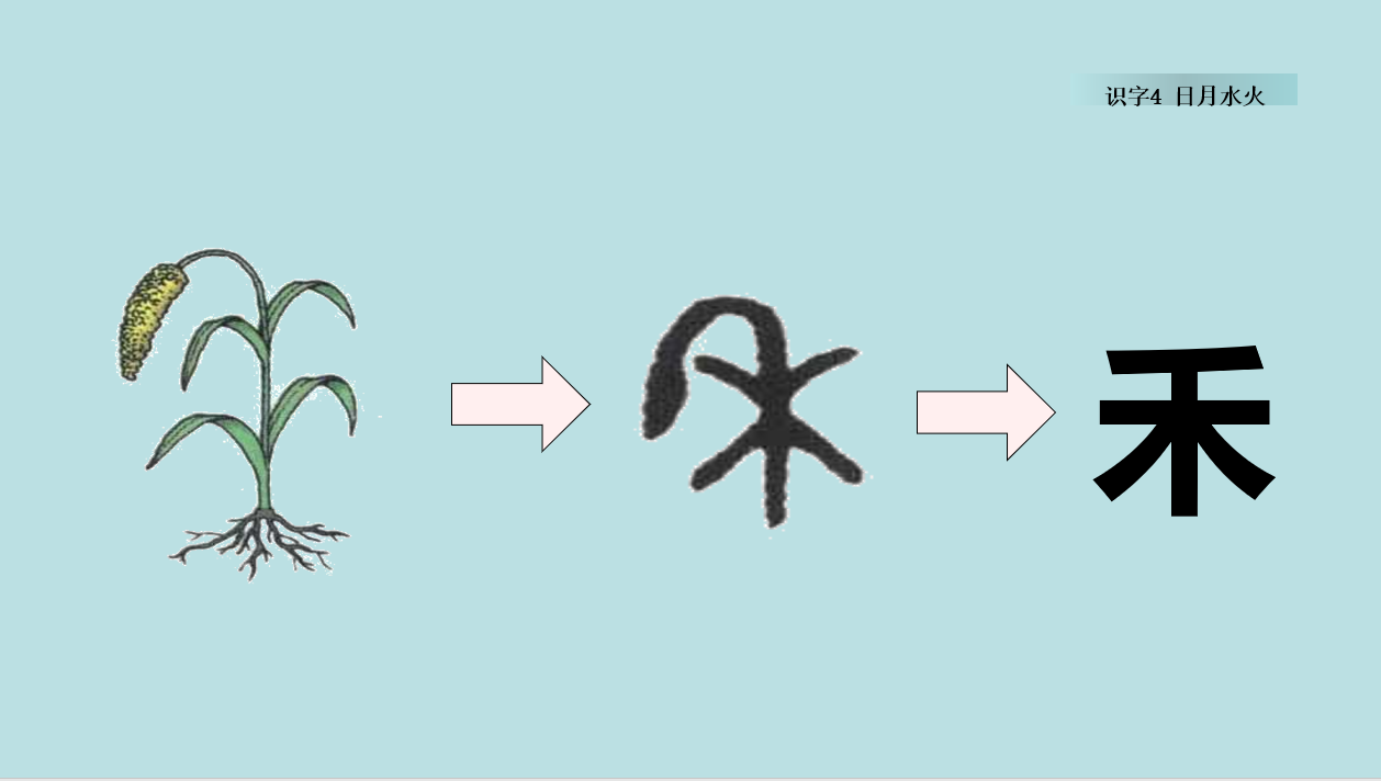 田的汉字演变过程图图片