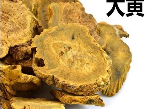 大黄:丝绸之路上的"救命良药"