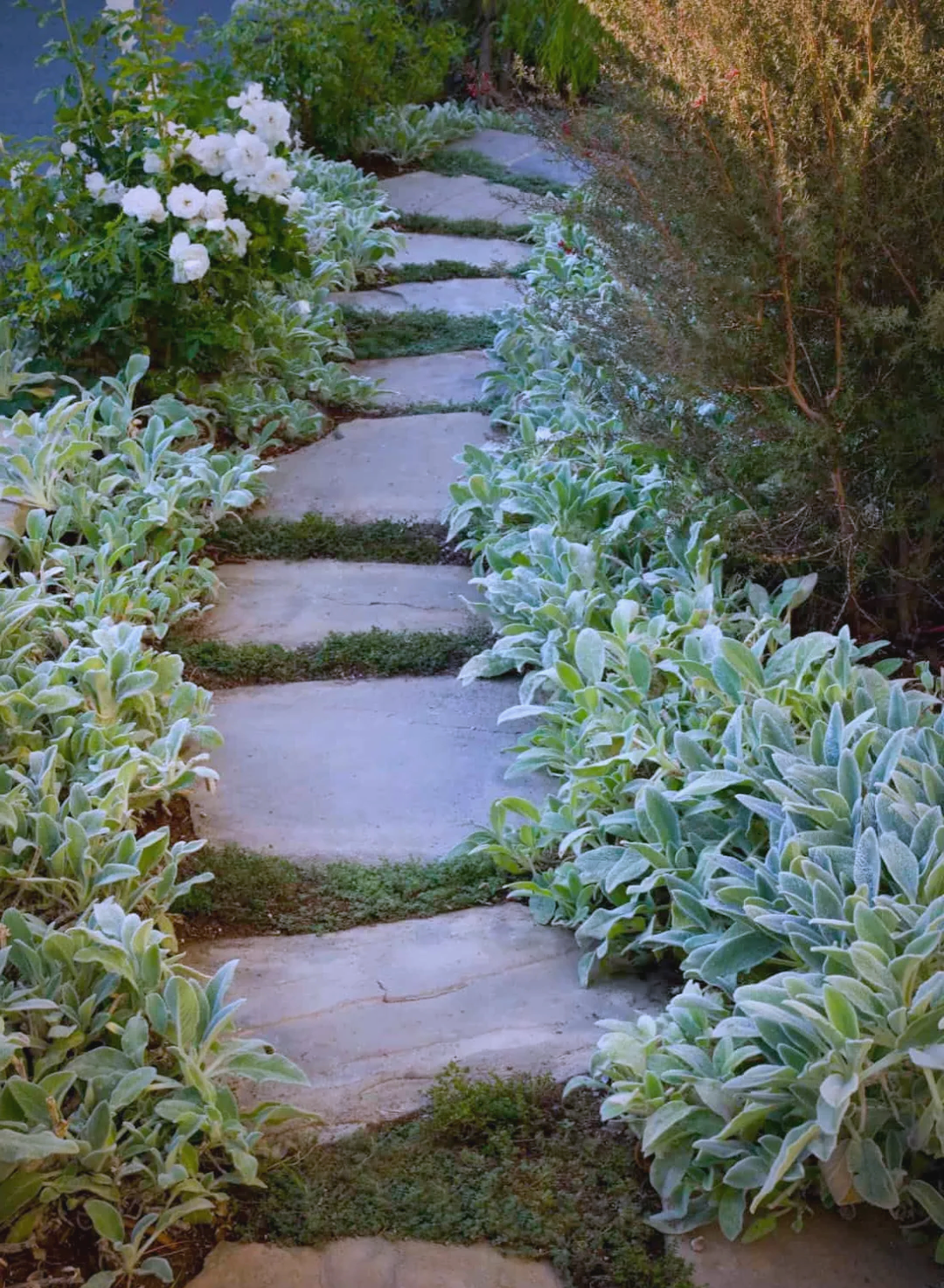 众多精致庭院小径,让灵魂与脚步同行