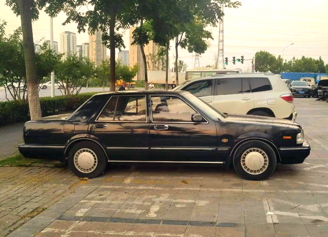 90年代经典公爵王,方方正正的稳健之选