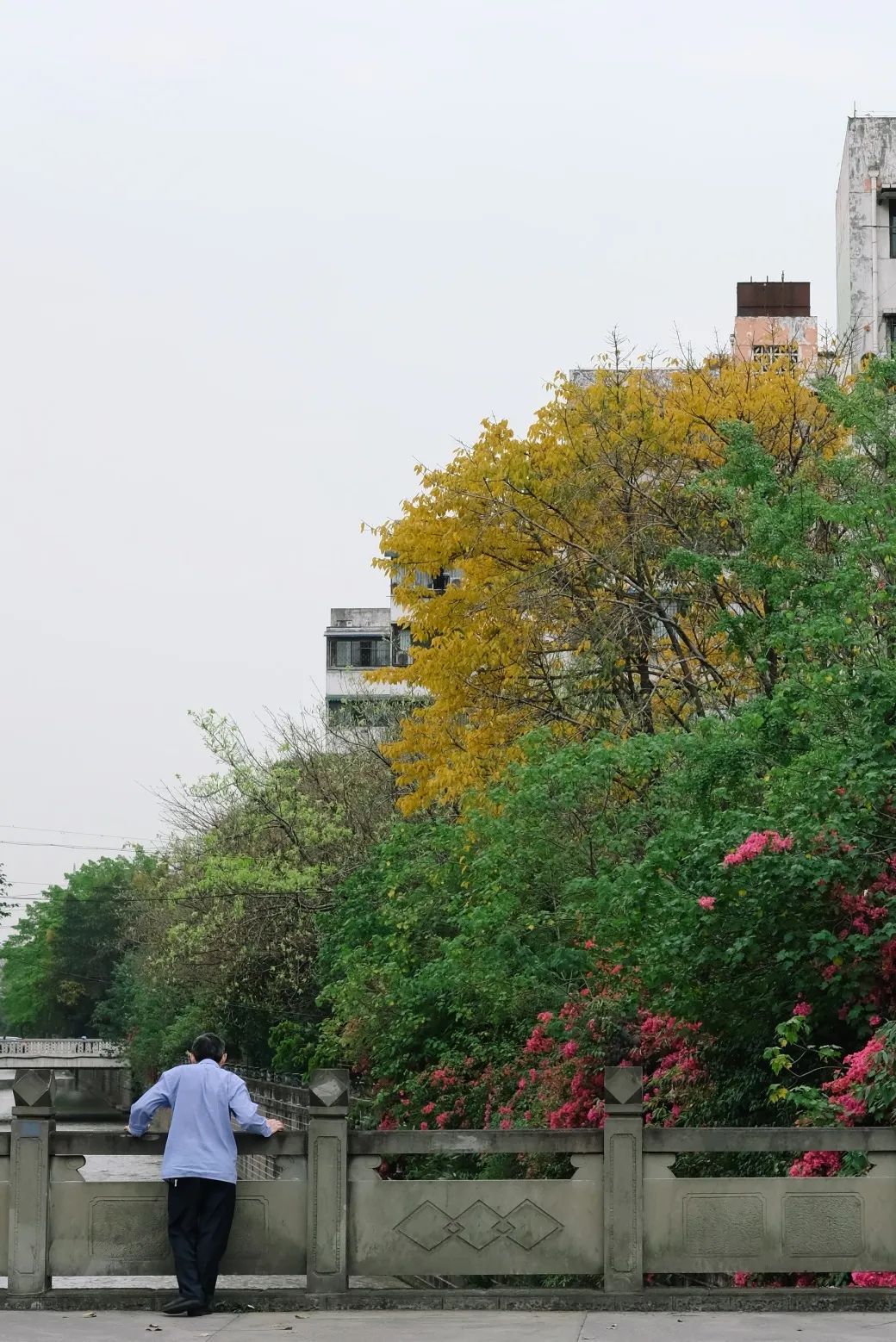 "没有任何历史"的少陵路