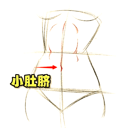 在小肚脐下方的两侧,我们描绘出盆骨的两个凸起骨点的位置,并顺势向下