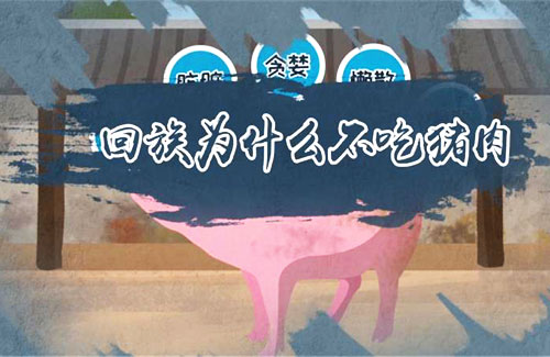 新疆为什么不吃猪肉