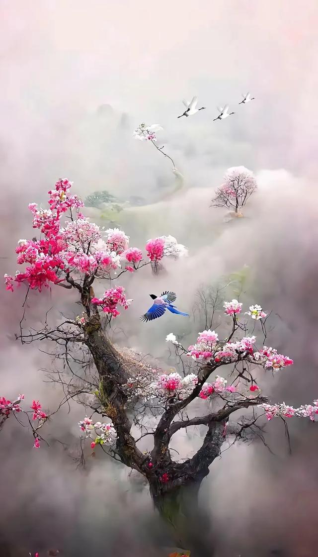 梦幻仙境系列高清壁纸