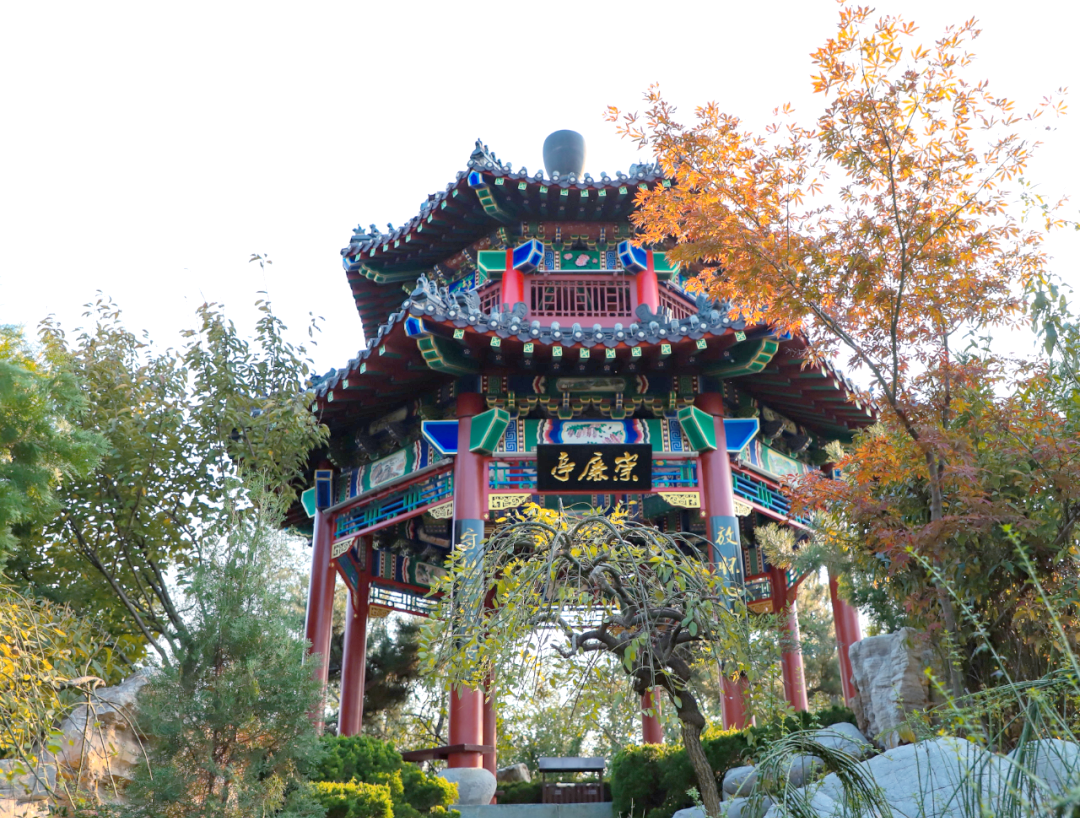 夜游凤凰山,探访莱山夜景的绚丽多彩