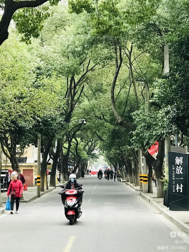 魏塘镇解放一村新貌