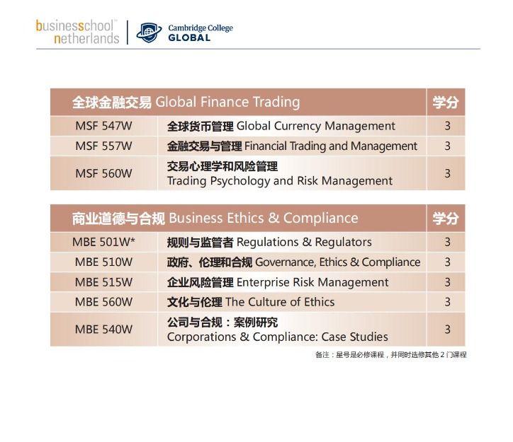 荷兰商学院 (bsn)& 美国剑桥学院 (ccg)mba