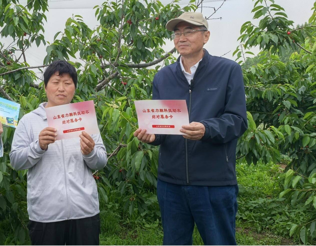 雨后救园！用科技守护“樱桃红”——2026巾帼科技助农兴农直通车走进泰安 - 图4