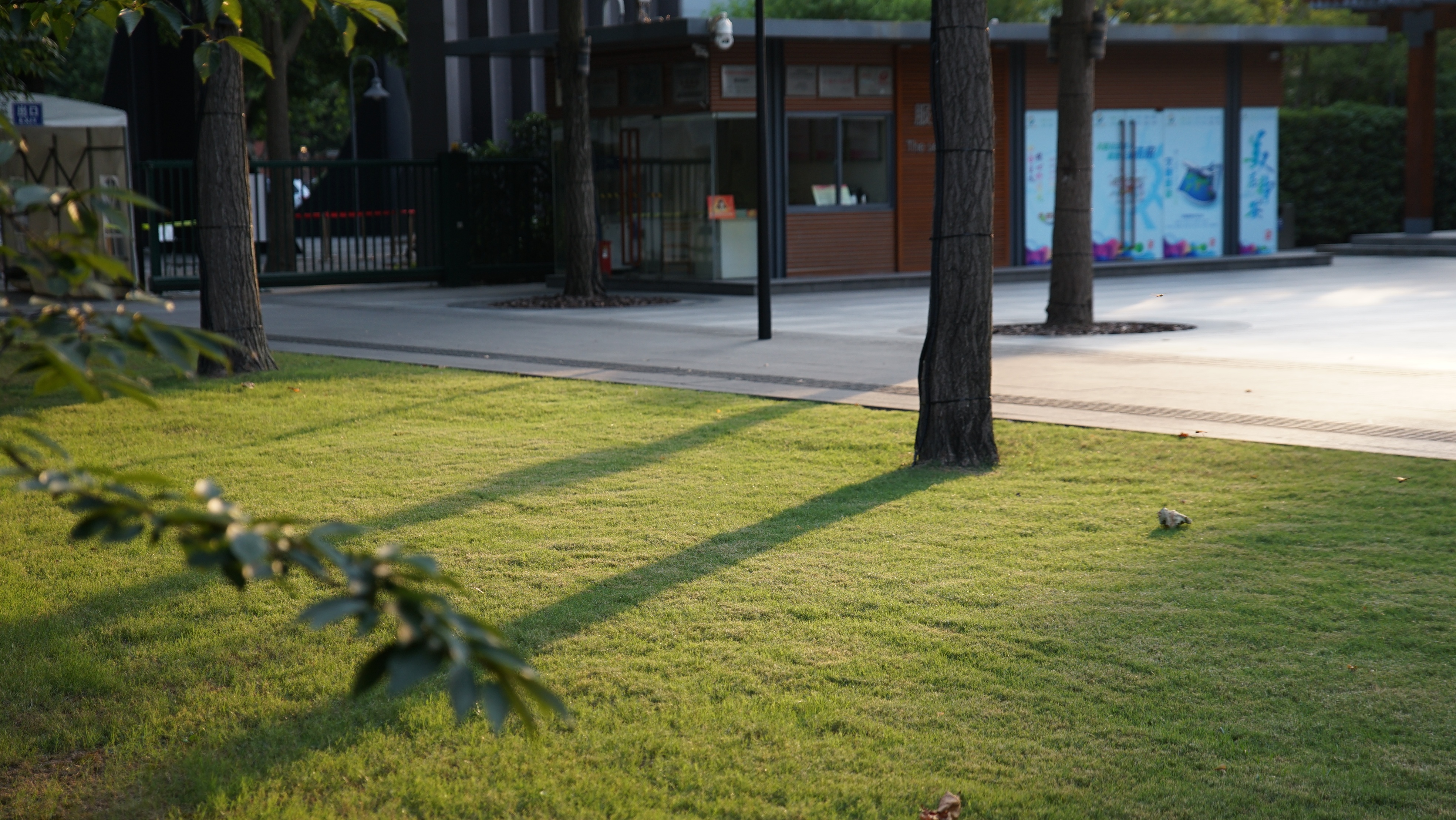 想在绿地上踏个青?静安8座公园设有开放草坪