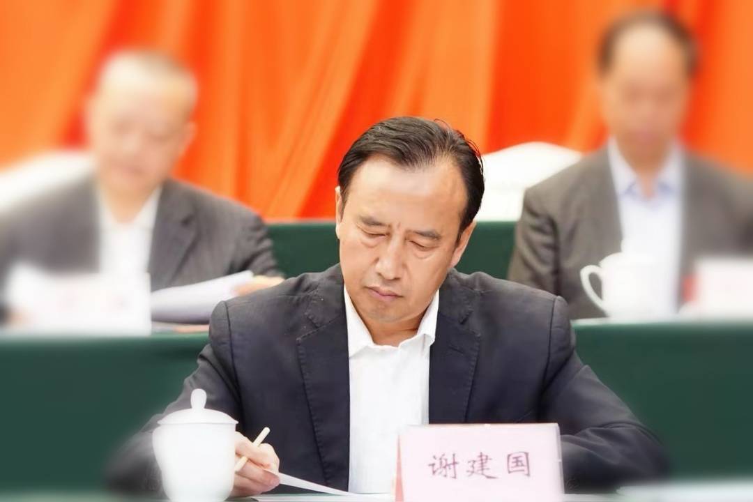 川威集团总工程师谢建国:科技创新助推企业从传统钢铁向绿色智慧钢铁