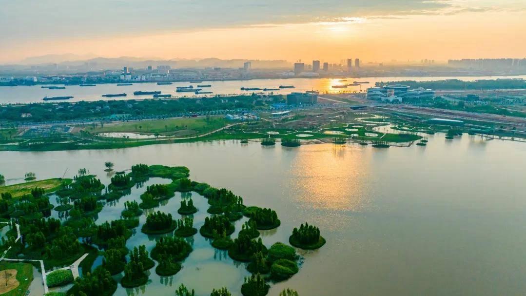 快带小朋友来打卡新玩法!望城大泽湖近自然湿地公园开园