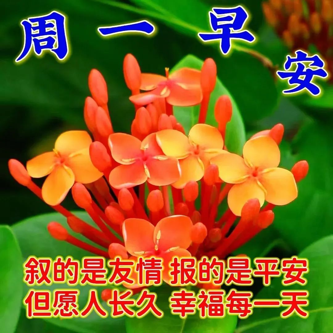 周一早安问候语,愿你在这个新的一周里,工作顺利,生活愉快