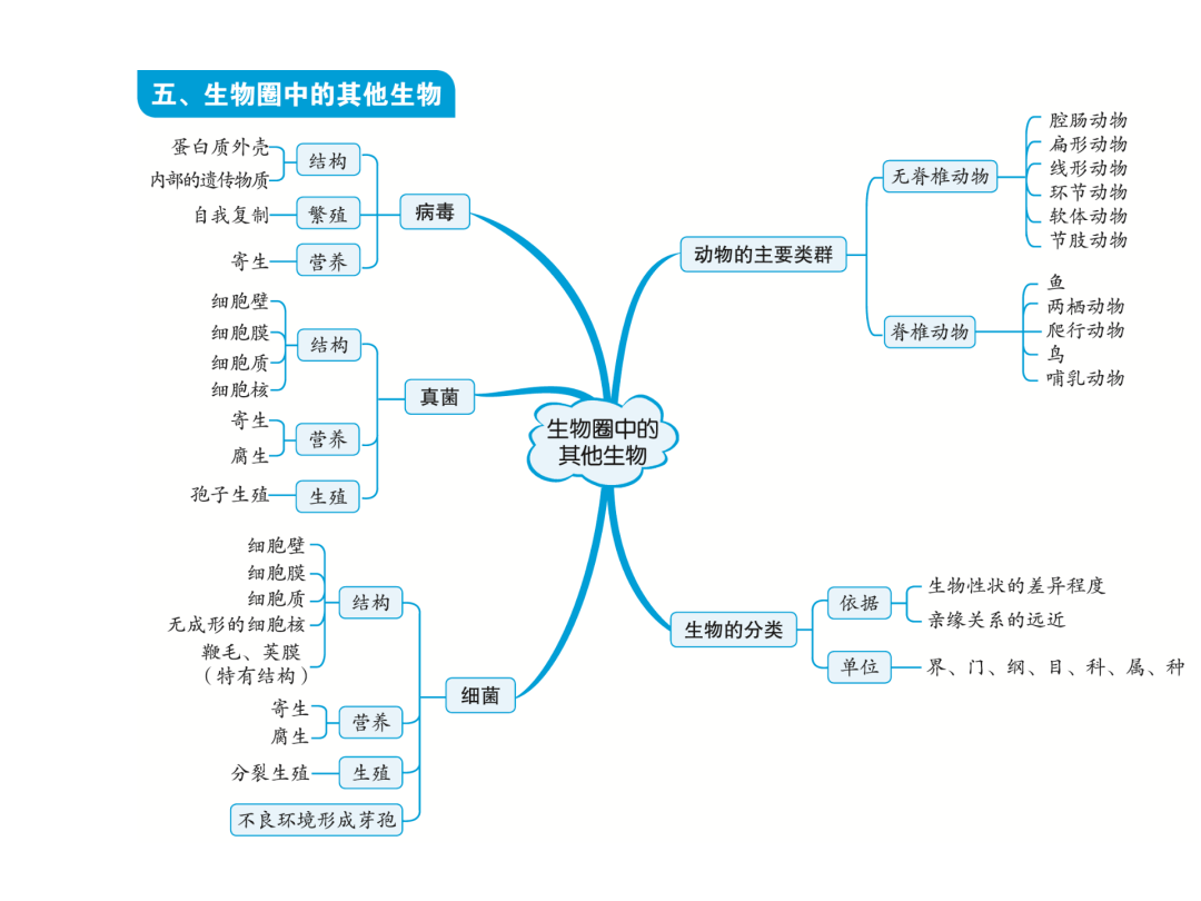 「初中生物」中考复习知识点思维导图