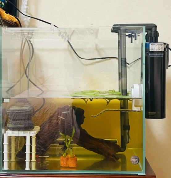 而你的鱼缸则是40x40x40,虽然体积不算大,但选择适合的过滤设备仍然很