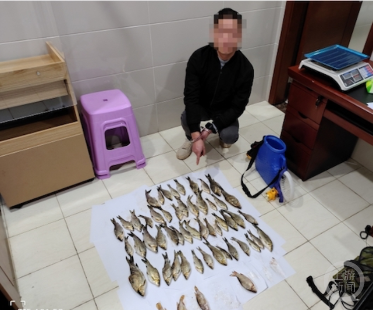 不乱捕不乱吃,重庆警方抓获两个非法电鱼团伙