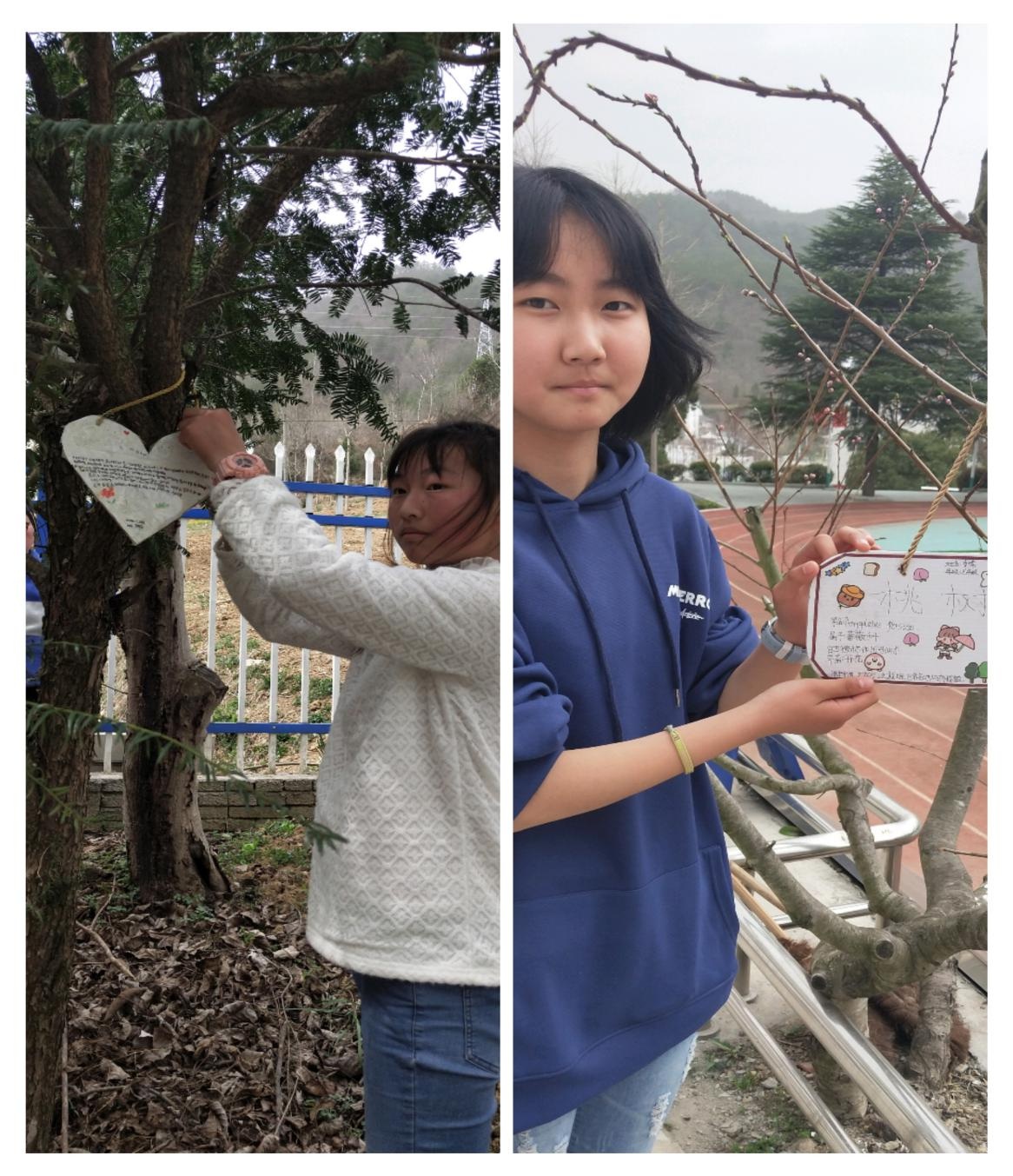 保康县两峪乡中心学校:认养一棵树责任在我心