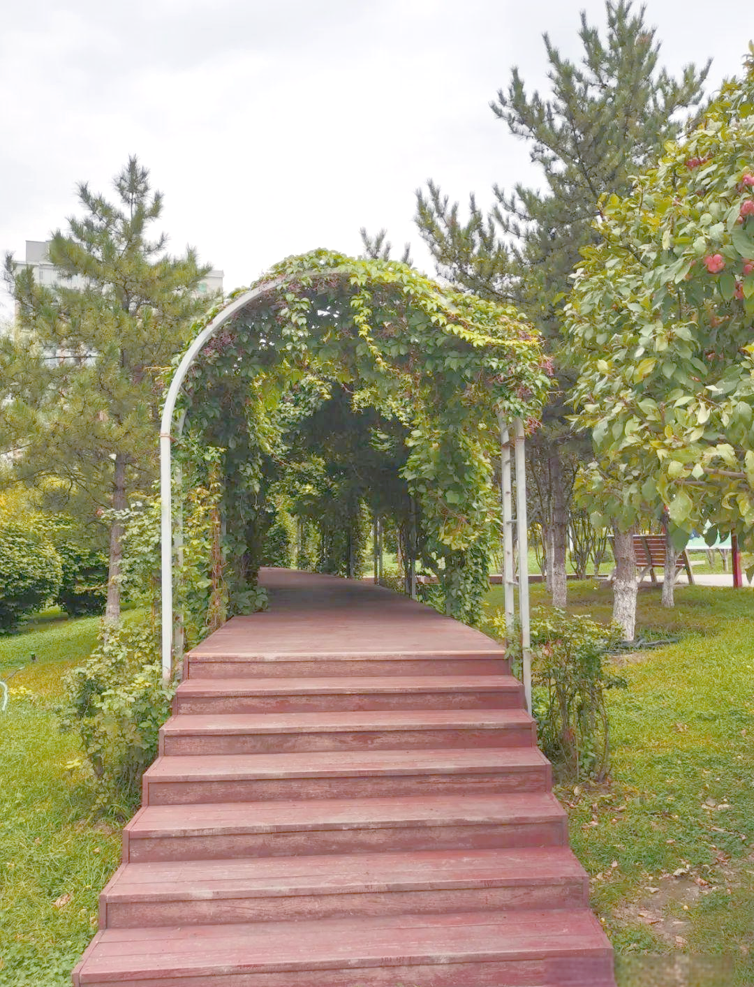 国庆前夕的晋阳街公园,尽享秋日惬意